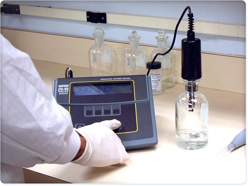 YSI 5000 实验室溶解氧分析仪 精确的溶氧测试仪